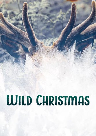 Wild Christmas