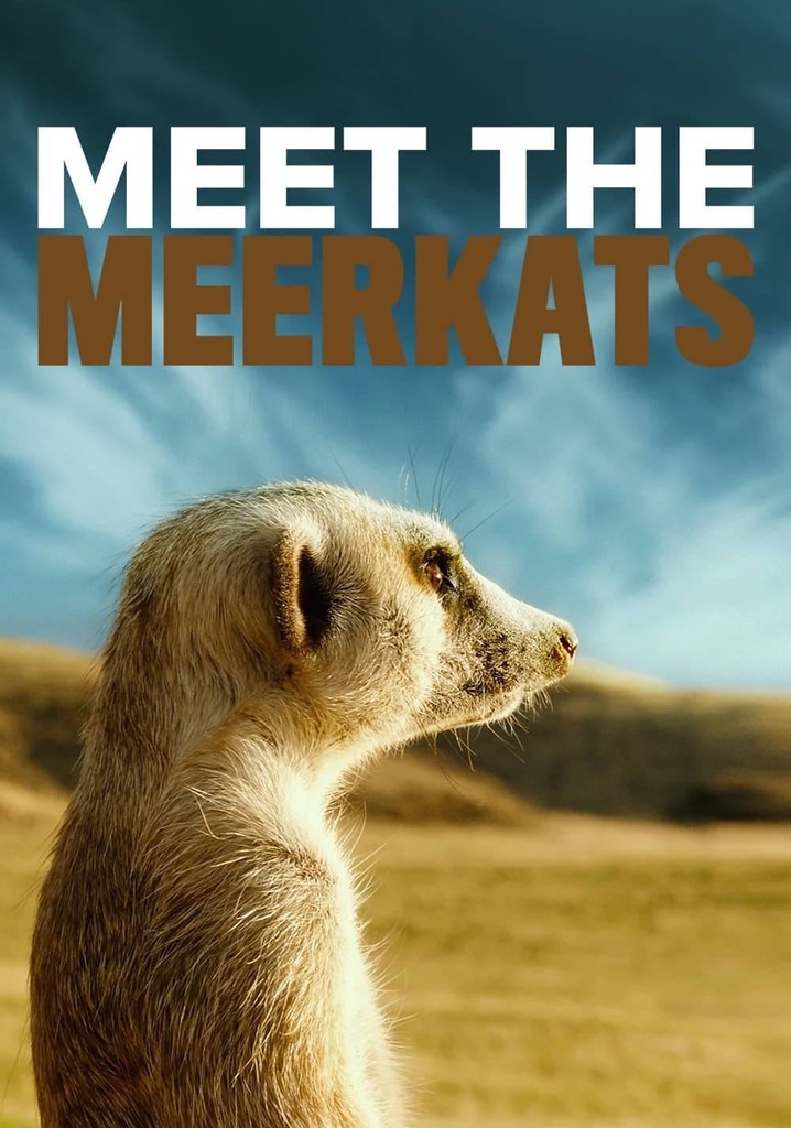 Meet the Meerkats - movie: watch stream online