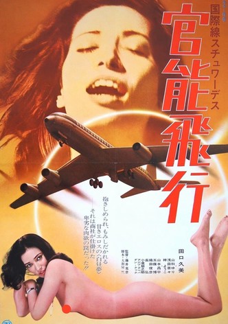 International Stewardess: Erotic Flight
