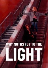 Why Moths Fly to the Light?