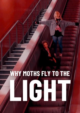 Why Moths Fly to the Light?