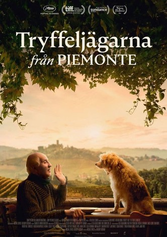 Tryffeljägarna från Piemonte