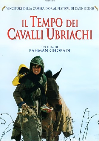 Il tempo dei cavalli ubriachi