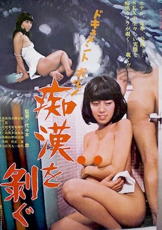 Document porno: Chikan o hagu