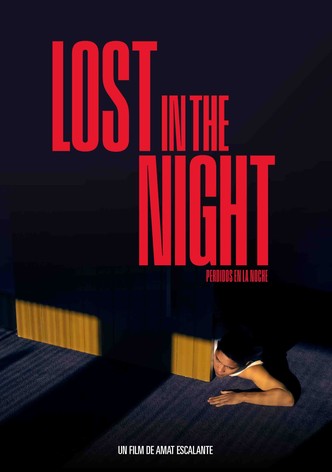 Lost In The Night