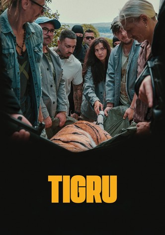 Tigru