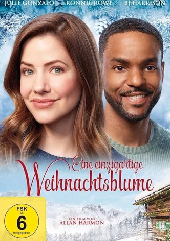 Eine einzigartige Weihnachtsblume