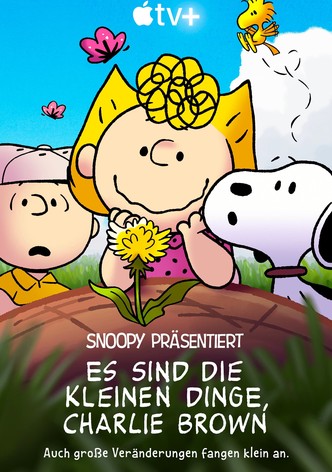 Snoopy präsentiert: Es sind die kleinen Dinge, Charlie Brown