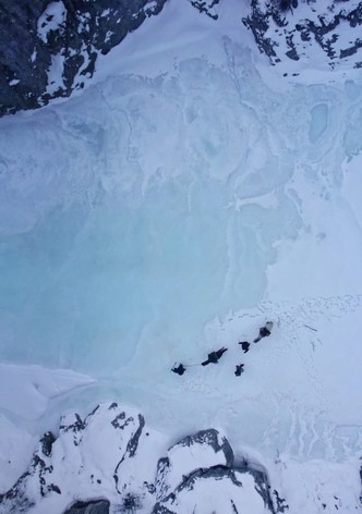 Die Hüter des Waldes