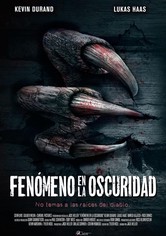 Fenómeno en la oscuridad