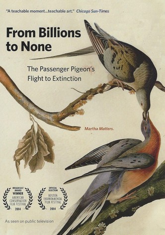 From Billions to None: The Passenger Pigeon's Flight to Extinction