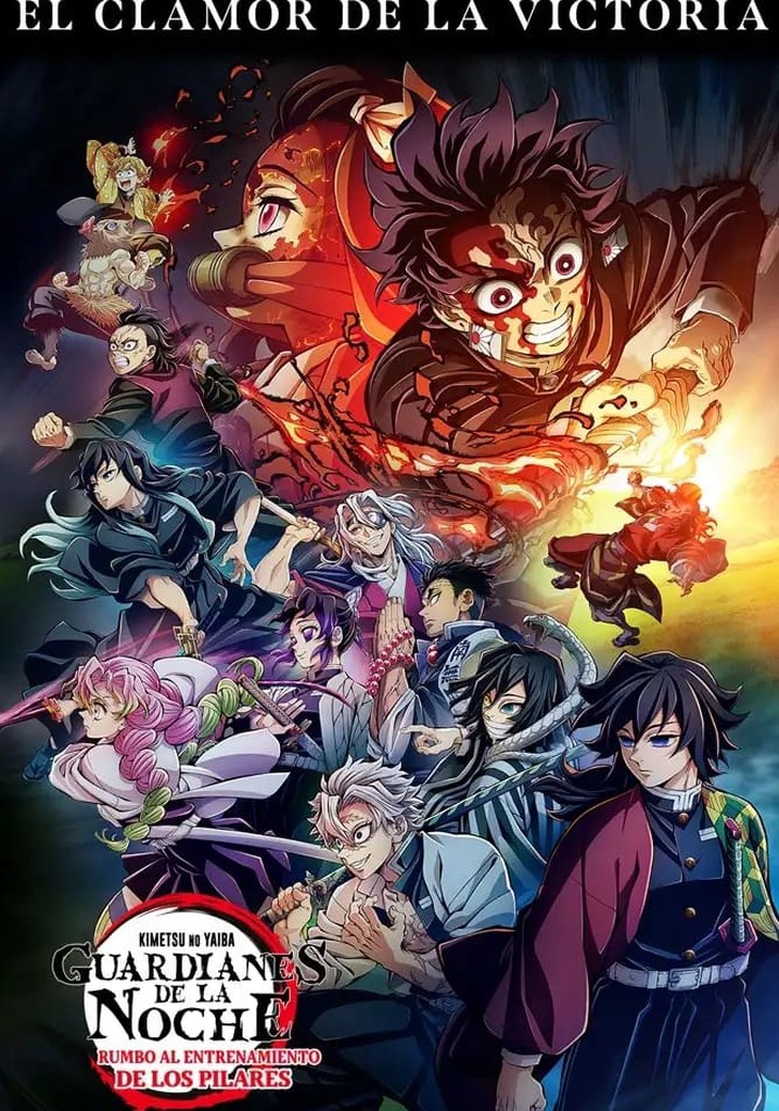demon slayer kimetsu no yaiba to the hashira training