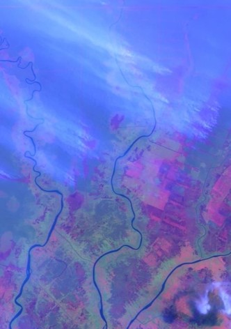 Ecocide in Indonesia