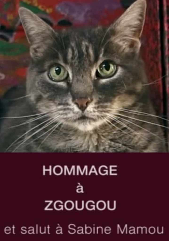 Tribute to Zgougou the Cat