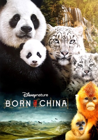 Born in China