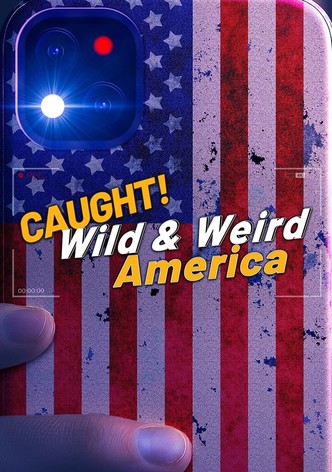 Caught! Wild & Weird America