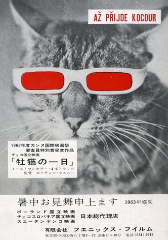 猫に裁かれる人たち