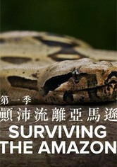 Surviving the Amazon