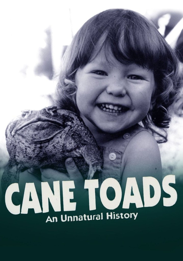 Cane Toads: An Unnatural History streaming online