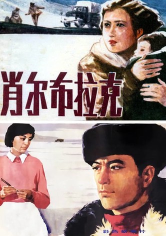 肖尔布拉克