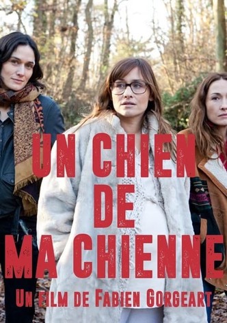 Un chien de ma chienne