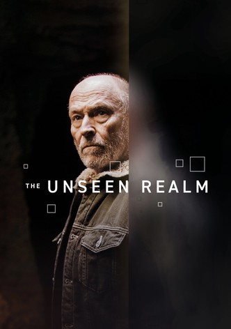 The Unseen Realm