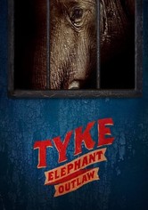 Tyke Elephant Outlaw