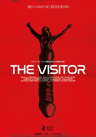 The Visitor
