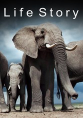Life Story