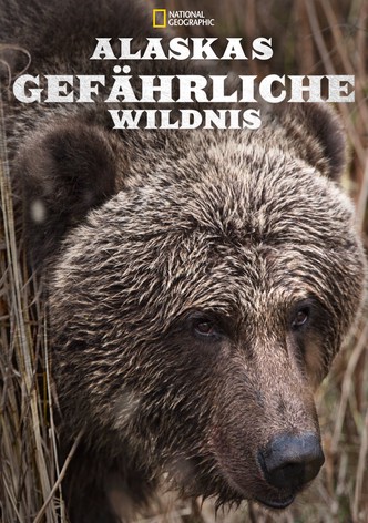 Alaskas gefährliche Wildnis