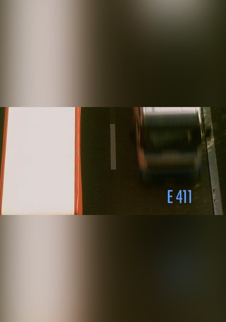 E411