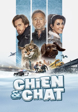 Chien & chat