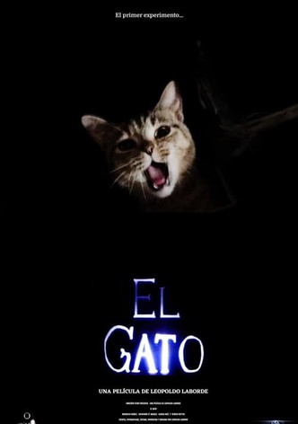 El gato