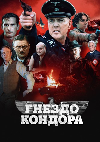 Гнездо кондора