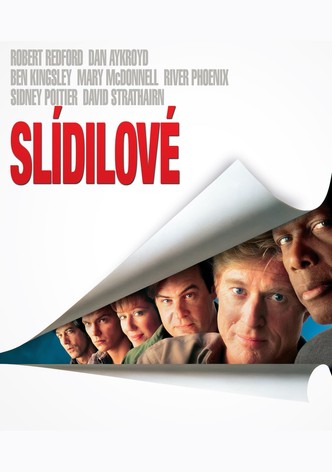 Slídilové