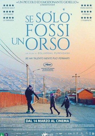 Se solo fossi un orso