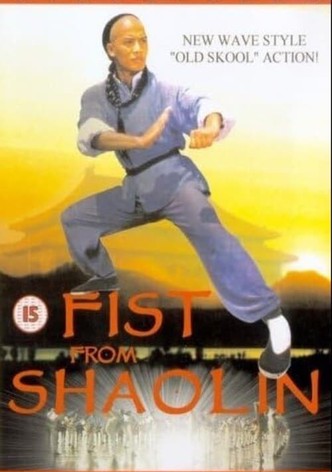 Fist from Shaolin