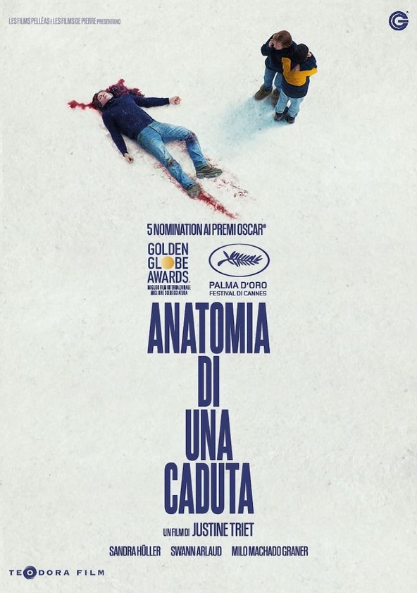 Anatomia di una caduta - film: guarda streaming online