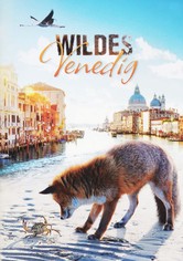 Wildes Venedig