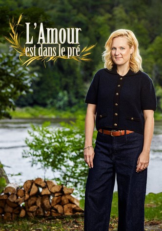 Saison 11