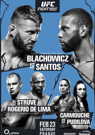 UFC Fight Night 145: Błachowicz vs. Santos