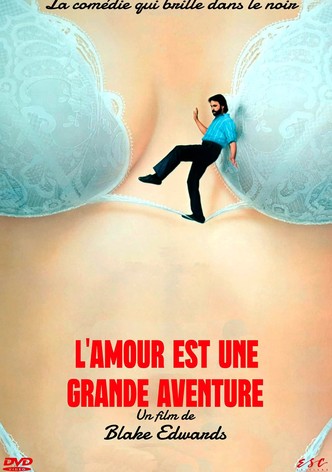 L'amour est une grande aventure