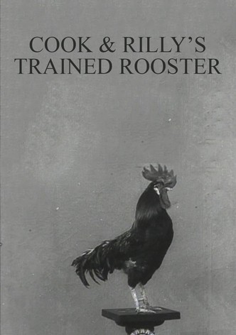Cook & Rilly's Trained Rooster