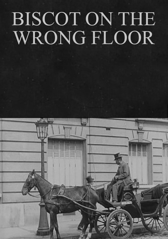 Biscot se trompe d'étage