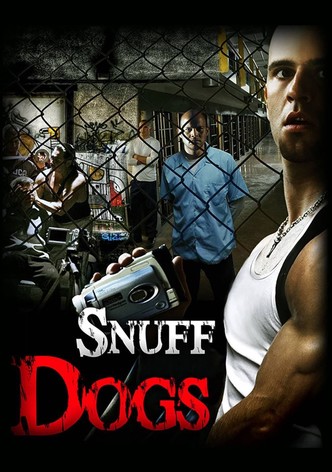 Dogs