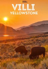 Villi Yellowstone