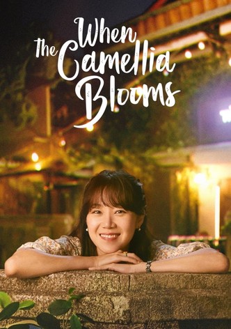 Cuando la camelia florece