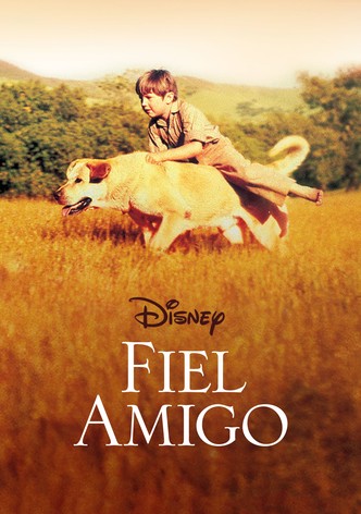 Fiel amigo