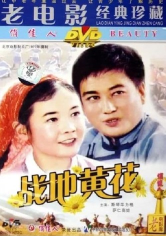 战地黄花