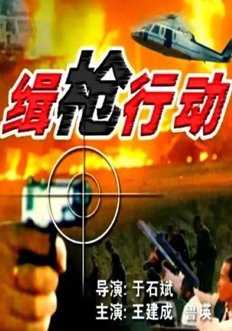 缉枪行动